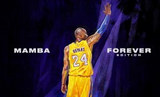 开云体育APP下载-绝杀与点燃，安赛龙见证下，法国羽球的惊魂一夜