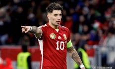 开云体育平台APP-匈牙利队创造历史，晋级半决赛