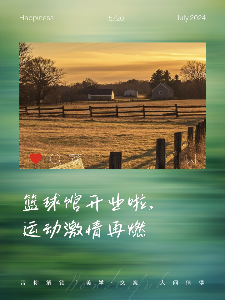 进击的篮球梦想重燃热情之火的简单介绍