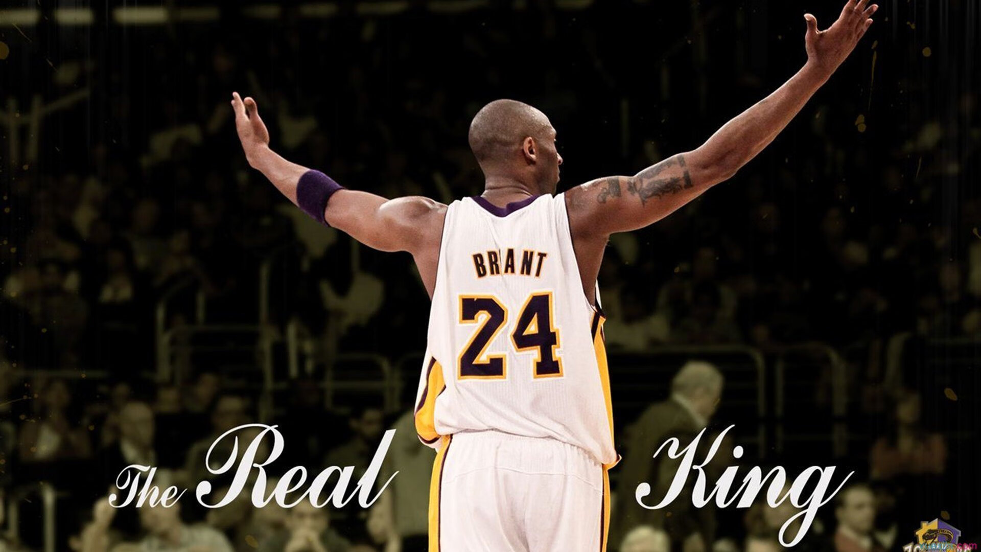 肾上腺素作证，伊布那记倒钩，与F1赛道上1毫米的超车