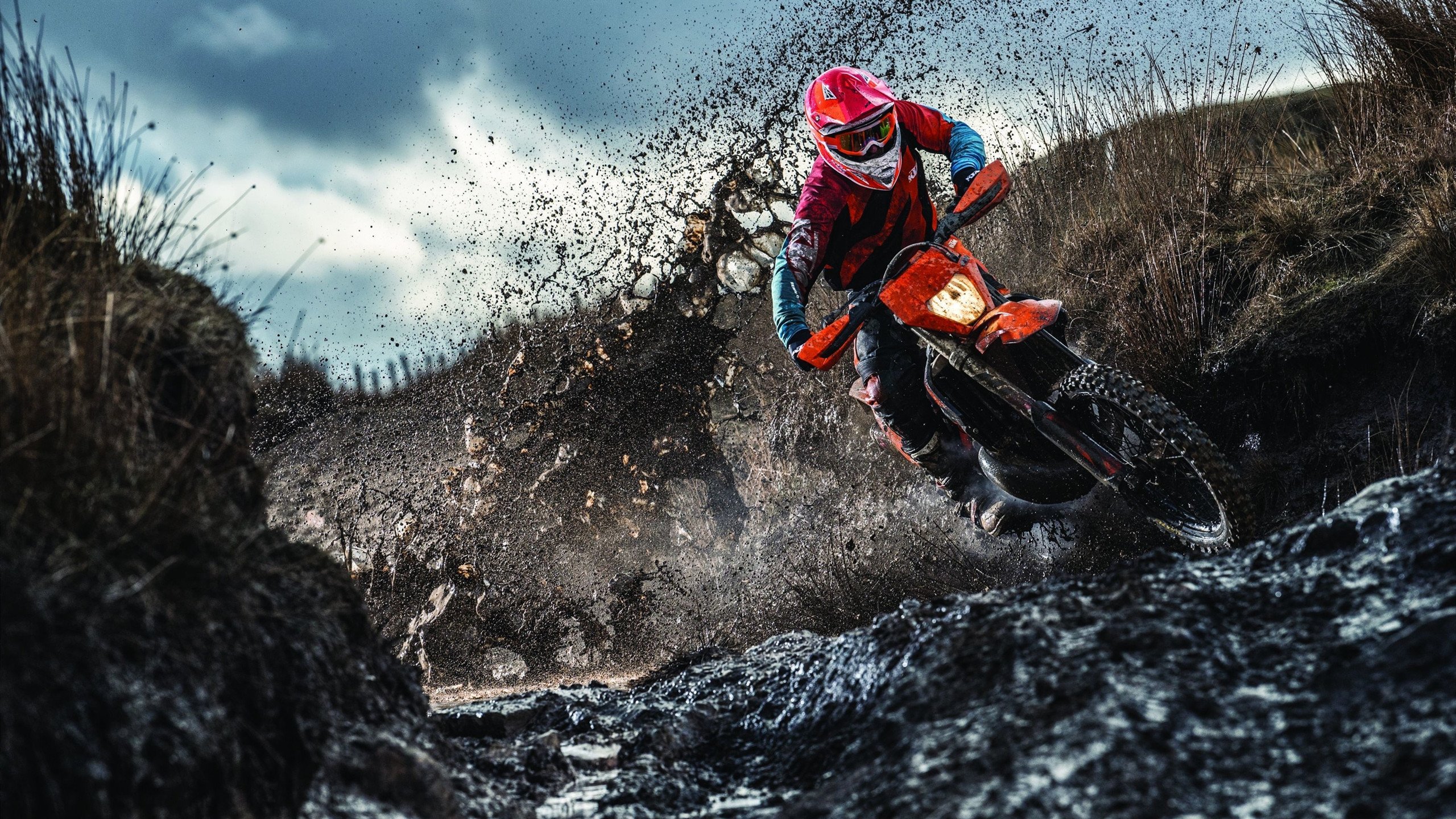 美网完胜温网,阿尔卡拉斯用硬地交响乐,终结了温网的田园诗